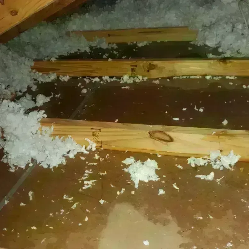 Attic Water Damage in Lexington, MO