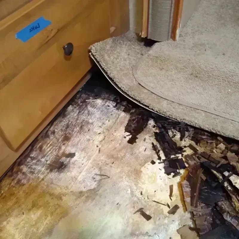 Best Wood Floor Water Damage Service in Lexington, MO